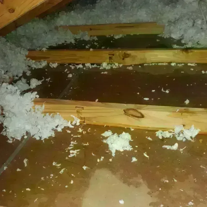 Attic Water Damage in Tripp County, SD